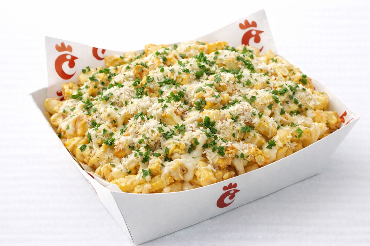 Truffle Garlic Parmesan Fries